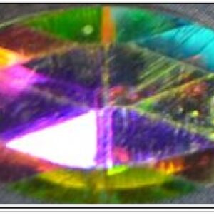 horse-eye-c-ab.jpg